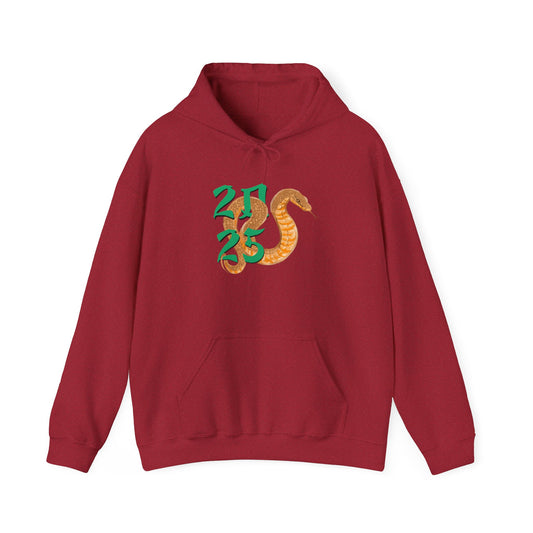 2025 Year of the Snake Unisex Hoodie